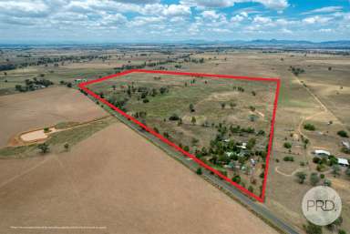 Farm For Sale - NSW - Tamworth - 2340 - Huge potential  (Image 2)