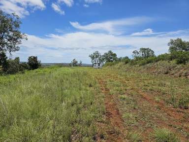 Farm For Sale - QLD - Maidenwell - 4615 - Your Dream Escape: 5 Acres Near Coomba Falls  (Image 2)