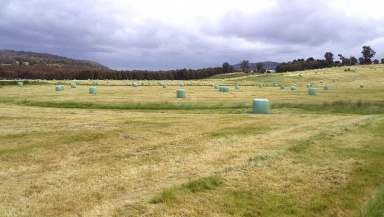 Farm For Sale - TAS - Stonehenge - 7120 - Historic South Rhodes  (Image 2)