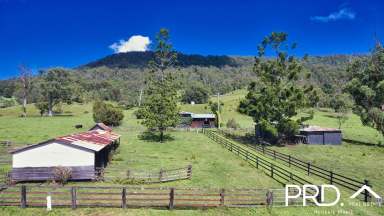 Farm For Sale - NSW - Collins Creek - 2474 - Rural Retreat with Creek Frontage and Scenic Views  (Image 2)