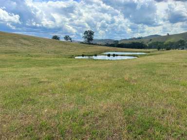 Farm For Sale - VIC - Maintongoon - 3714 - Superb Grazing Opportunity !  (Image 2)