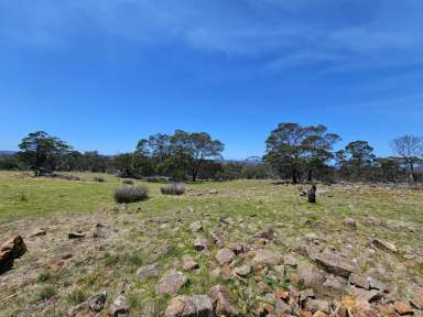 Farm For Sale - TAS - Swansea - 7190 - Where the eagle's fly  (Image 2)