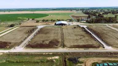 Farm For Sale - VIC - Muckatah - 3644 - Large Scale Turnkey Robotic Dairy Enterprise - 590 Ha (1459 Acres)  (Image 2)