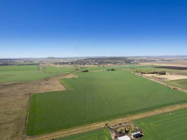 Farm Sold - QLD - Allora - 4362 - Sold Off Market  (Image 2)