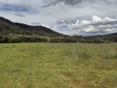 Farm For Sale - NSW - Upper Horton - 2347 - Upper Horton Living  (Image 2)