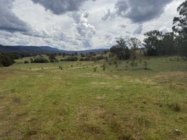 Farm For Sale - NSW - Upper Horton - 2347 - Upper Horton Living  (Image 2)