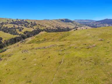 Farm For Sale - NSW - Tumut - 2720 - Natural Beauty!  (Image 2)