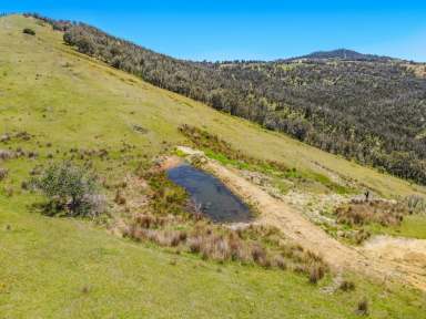 Farm For Sale - NSW - Tumut - 2720 - Natural Beauty!  (Image 2)