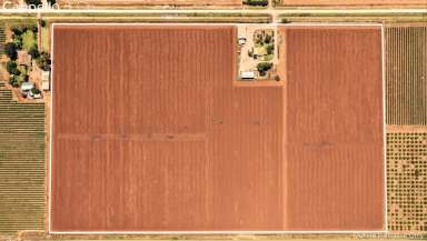 Farm For Sale - NSW - Yenda - 2681 - A GREAT FARM TO START OR EXPAND!  (Image 2)