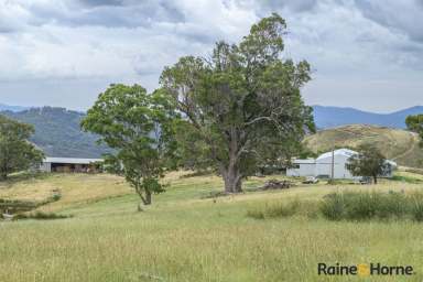 Farm For Sale - NSW - Walcha - 2354 - Blair Athol and Wavering Downs  (Image 2)