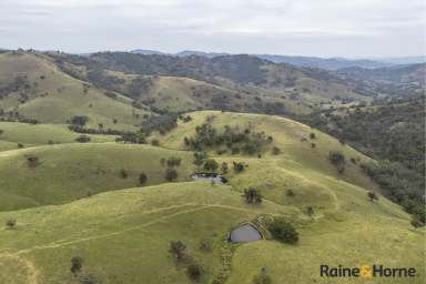 Farm For Sale - NSW - Walcha - 2354 - Blair Athol and Wavering Downs  (Image 2)