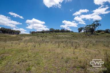 Farm For Sale - NSW - Emmaville - 2371 - Own Piece of Paradise in Emmaville  (Image 2)