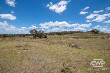 Farm For Sale - NSW - Emmaville - 2371 - Own Piece of Paradise in Emmaville  (Image 2)