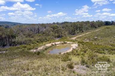 Farm For Sale - NSW - Emmaville - 2371 - Own Piece of Paradise in Emmaville  (Image 2)