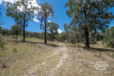 Farm For Sale - NSW - Emmaville - 2371 - Own Piece of Paradise in Emmaville  (Image 2)