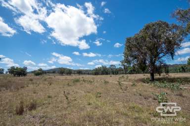 Farm For Sale - NSW - Emmaville - 2371 - Own Piece of Paradise in Emmaville  (Image 2)