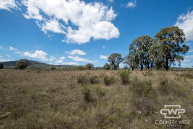 Farm For Sale - NSW - Emmaville - 2371 - Own Piece of Paradise in Emmaville  (Image 2)