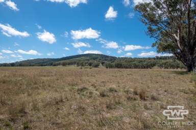 Farm For Sale - NSW - Emmaville - 2371 - Own Piece of Paradise in Emmaville  (Image 2)