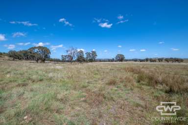 Farm For Sale - NSW - Emmaville - 2371 - Own Piece of Paradise in Emmaville  (Image 2)