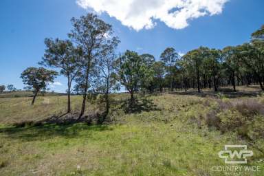 Farm For Sale - NSW - Emmaville - 2371 - Own Piece of Paradise in Emmaville  (Image 2)