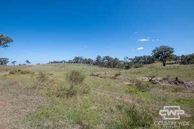 Farm For Sale - NSW - Emmaville - 2371 - Own Piece of Paradise in Emmaville  (Image 2)