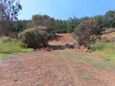 Farm For Sale - WA - East Nannup - 6275 - Forest Hideaway -14ha* (approx. 34.5Ac*)  (Image 2)