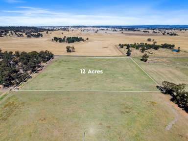 Farm For Sale - VIC - Lake Rowan - 3727 - 22 Acres of Prime Rural Land – A Rare Opportunity Awaits!  (Image 2)