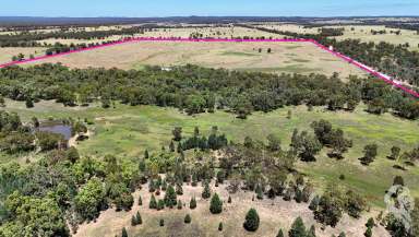 Farm For Sale - NSW - Baan Baa - 2390 - 320 ACRES MIXED FARMING BLOCK ONLY MINUTES FROM BAAN BAA!  (Image 2)