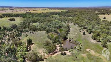 Farm For Sale - NSW - Baan Baa - 2390 - 320 ACRES MIXED FARMING BLOCK ONLY MINUTES FROM BAAN BAA!  (Image 2)