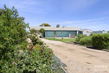 Farm For Sale - SA - Renmark - 5341 - Family Living Enhanced by Vineyard Vistas  (Image 2)