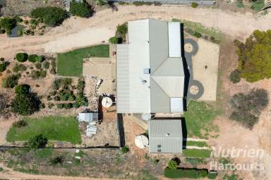 Farm For Sale - SA - Renmark - 5341 - Family Living Enhanced by Vineyard Vistas  (Image 2)