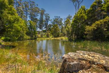 Farm For Sale - TAS - Somerset - 7322 - Sensational Seabrook  (Image 2)