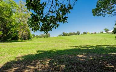 Farm For Sale - NSW - Bellingen - 2454 - Create a Stunning Rural Lifestyle on this 23.35acres of Vacant Land  (Image 2)