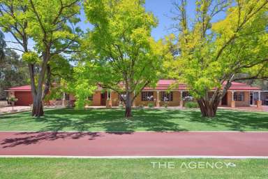 Farm Sold - WA - Henley Brook - 6055 - 10 Acres, Dual Accommodation, Equine Facilities In The Heart of The Swan Valley  (Image 2)