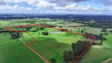 Farm For Sale - NSW - Wauchope - 2446 - 100 Prime Grazing Acres with Building Potential in Wauchope  (Image 2)