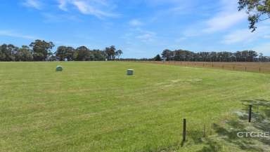 Farm For Sale - VIC - Marlo - 3888 - Put the You in Curlip  (Image 2)