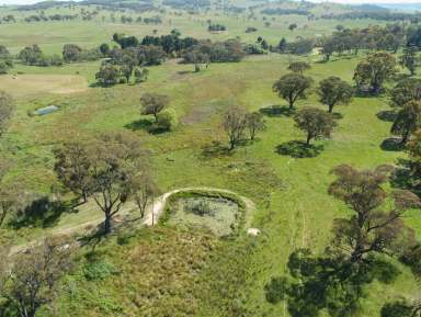 Farm For Sale - NSW - Hobbys Yards - 2795 - Tranquil Rural Retreat  (Image 2)