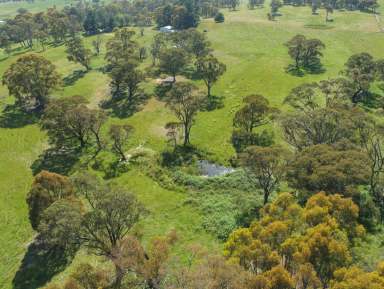 Farm For Sale - NSW - Hobbys Yards - 2795 - Tranquil Rural Retreat  (Image 2)