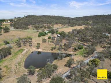 Farm For Sale - NSW - Bungendore - 2621 - Opportunity with a View  (Image 2)