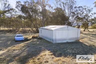 Farm For Sale - VIC - Avoca - 3467 - "Your Dream Lifestyle Awaits – 10 Acres of Tranquility Near Avoca"  (Image 2)