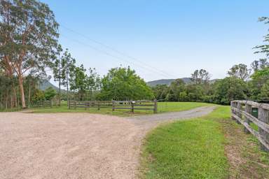 Farm For Sale - QLD - Eerwah Vale - 4562 - Maroochy Springs – A Lifestyle Dream on 30 Acres  (Image 2)