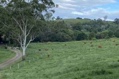 Farm For Sale - QLD - Ridgewood - 4563 - Briallyn Estate – A Rare Rural Masterpiece in Noosa Shire  (Image 2)