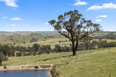 Farm For Sale - NSW - Crookwell - 2583 - A Picturesque Country Escape  (Image 2)