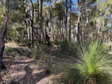 Farm For Sale - WA - Sawyers Valley - 6074 - 2 Hectare Untouched Bushland Property in Sawyers Valley  (Image 2)