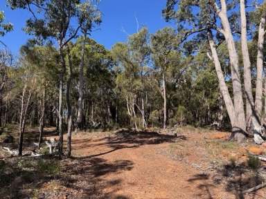 Farm For Sale - WA - Sawyers Valley - 6074 - 2 Hectare Untouched Bushland Property in Sawyers Valley  (Image 2)