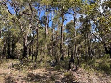 Farm For Sale - WA - Sawyers Valley - 6074 - 2 Hectare Untouched Bushland Property in Sawyers Valley  (Image 2)