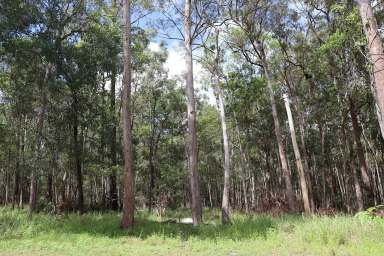 Farm For Sale - QLD - Downsfield - 4570 - HIDDEN PARADISE  (Image 2)