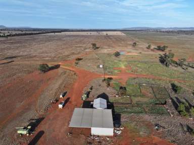 Farm For Sale - NSW - Lake Cargelligo - 2672 - Efficient Farming Property Ready To Take To The Next Level  (Image 2)