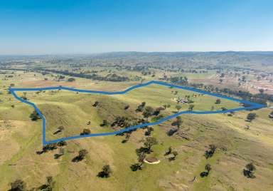 Farm For Sale - NSW - Euchareena - 2866 - “Shepherds Rest” quality rural lifestyle property  (Image 2)