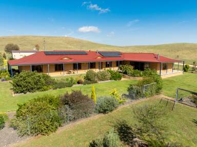 Farm For Sale - NSW - Euchareena - 2866 - “Shepherds Rest” quality rural lifestyle property  (Image 2)